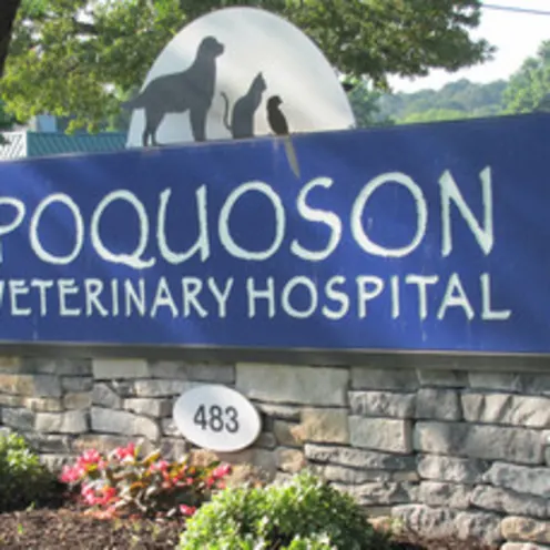 Poquoson Veterinary Hospital's outdoor brick signage with their address number on it. 